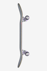 COMPLETO GLOBE REFLECTION 8.5