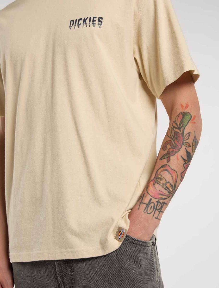 CTA DICKIES PELHAM WOOD ASH