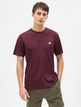 CTA DICKIES MAPLETON MAROON