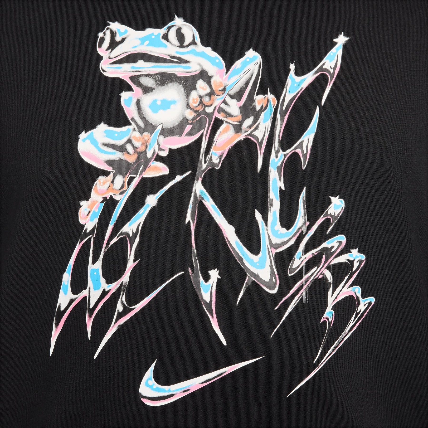 CTA NIKE SB LAZY GAWD 010