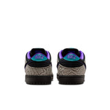 NIKE SB DUNK LOW PRO IB6208-200