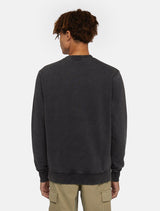 CREW DICKIES PLENTYWOOD BLACK