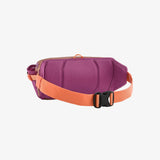 PATAGONIA BLACK HOLE 5L PCHS