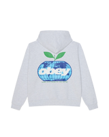 HOOD OBEY INTERCONTINENTAL ASH HEATHER