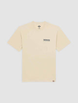 CTA DICKIES PELHAM WOOD ASH